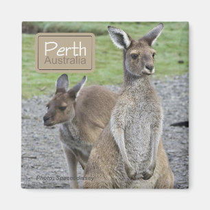 Perth Australia Kangaroo Travel Fridge Magnets