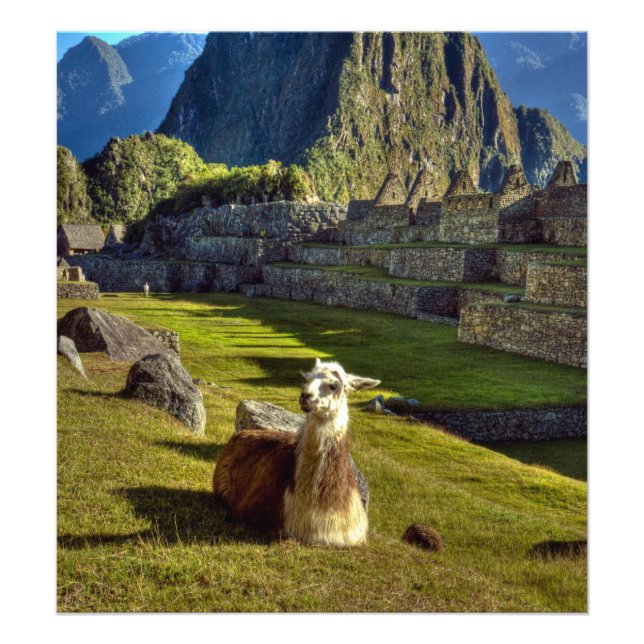 Peru, Andes, Andes Mountains, Machu Picchu Photo Print (Front)