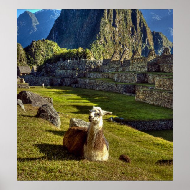 Peru, Andes, Andes Mountains, Machu Picchu Poster (Front)