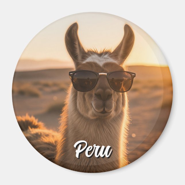 Peru Llama in sunglasses Magnet (Front)