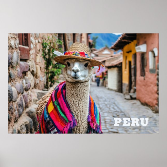 Peru Llama Poster (Front)