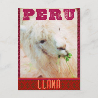Peru Travel Postcard - The Llamas of Peru