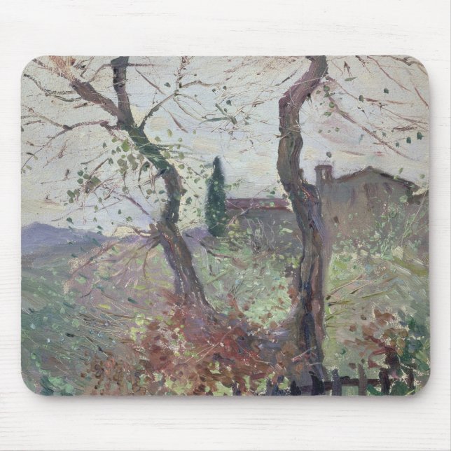 Perugia, Umbria, 1894 Mouse Pad (Front)
