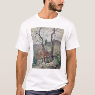 Perugia, Umbria, 1894 T-Shirt
