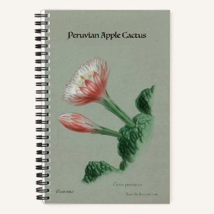 Peruvian Apple Cactus Notebook - Vintage Botanical