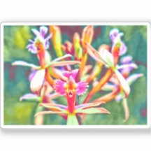 Peruvian Flowers Vinyl Sticker