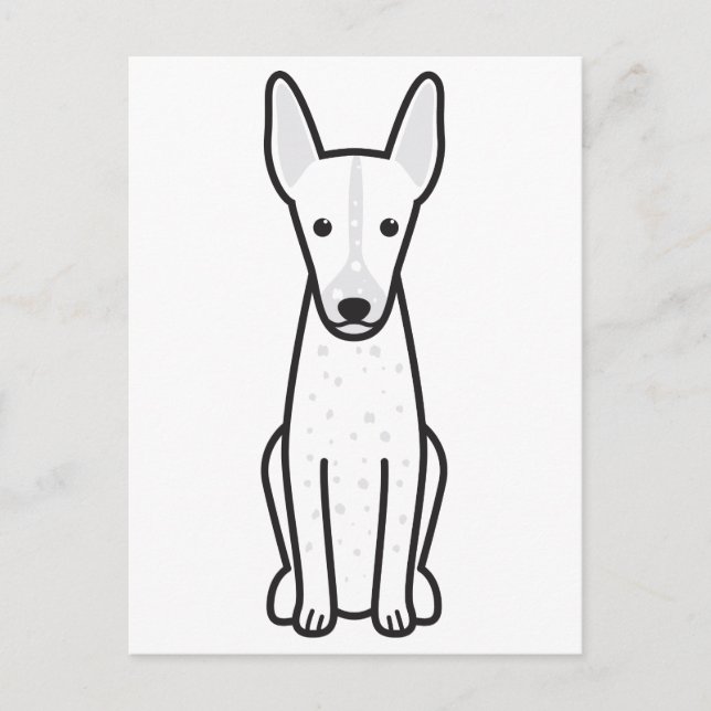 Peruvian Inca Orchid Postcard (Front)