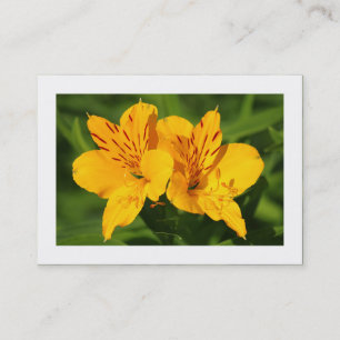 Peruvian Lilies (Bordered) Business Card