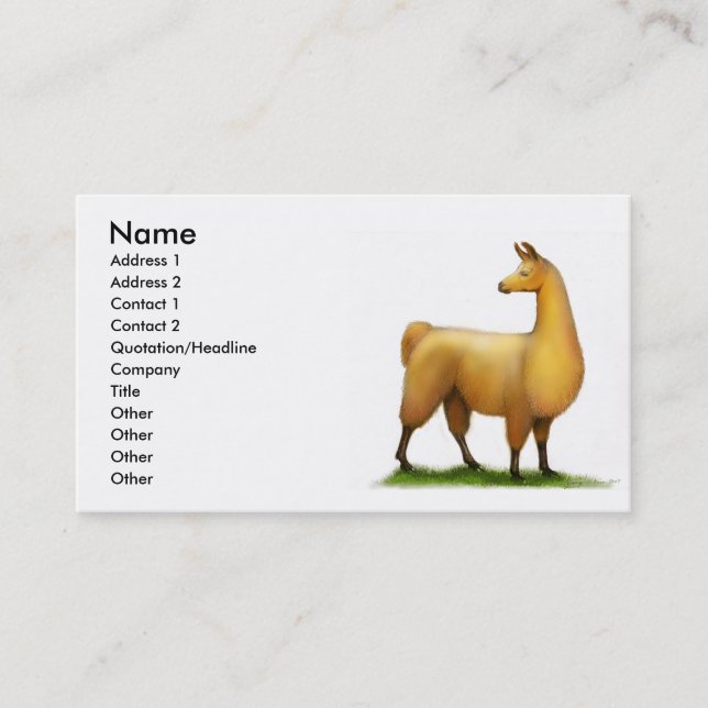 Peruvian Llama Profile Card (Front)