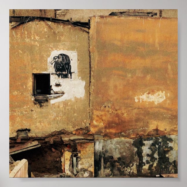 peruvian vulture urban wall poster (Front)