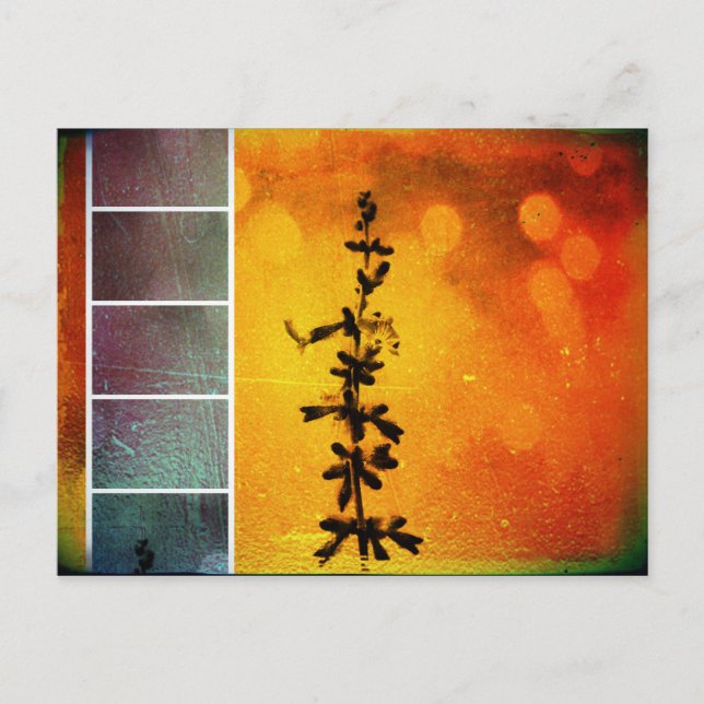 Pervoskia Collage Aflame Postcard (Front)