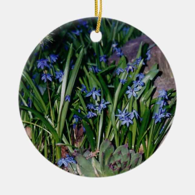 Perwinkles Ornament (Front)