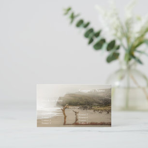 Pescadero 2024/11 business card