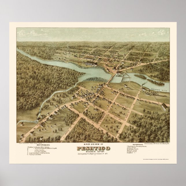 Peshtigo, WI Panoramic Map - 1871 Poster (Front)
