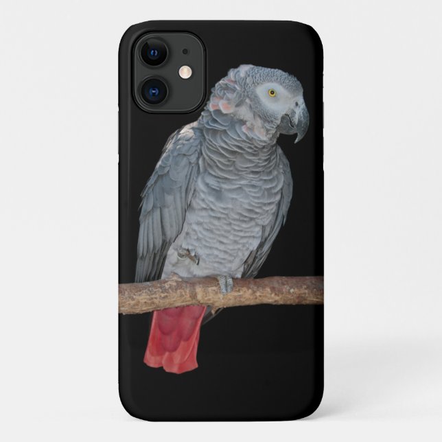 Pesky Parrot iPhone 11 Case (Back)