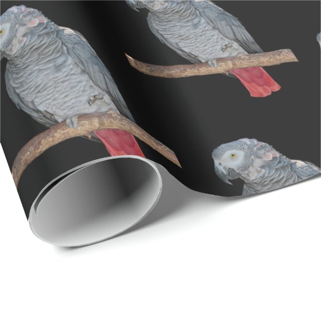 Pesky Parrot Wrapping Paper (Roll Corner)