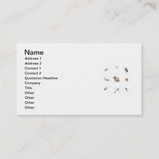 Pest Control Business Card (Front)