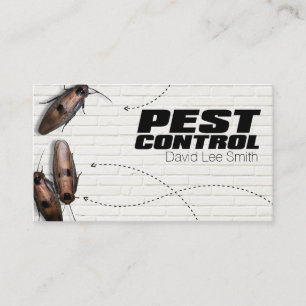 Pest control business card