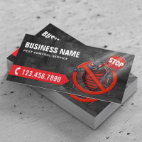 Pest Control Professional Bedbug Exterminator