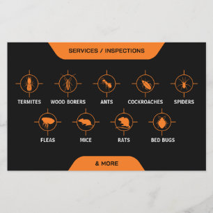 Pest control Service Flyer