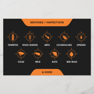 Pest control Service Flyer