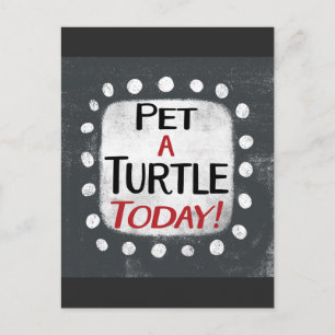 Pet A Turtle Today Postcard