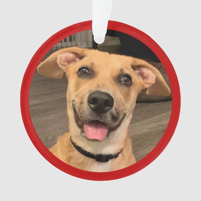 Pet Adoption | Custom Photo Ornament (Front)