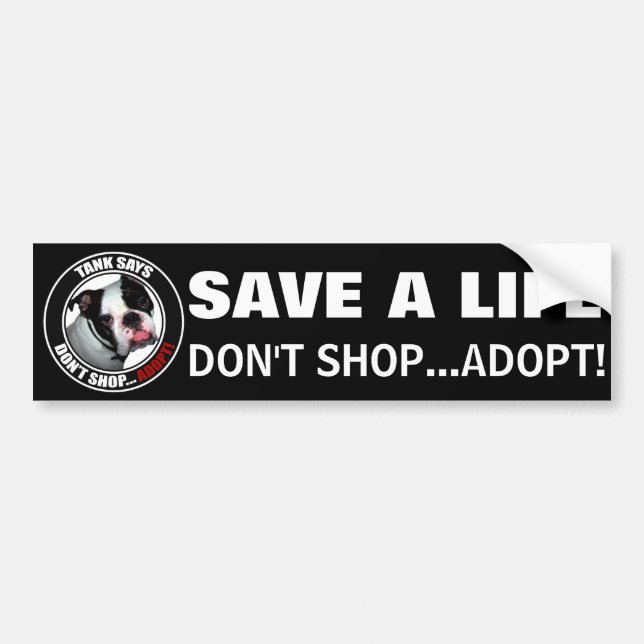 Pet Adoption, DON'T SHOP...ADOPT! Bumper Sticker (Front)
