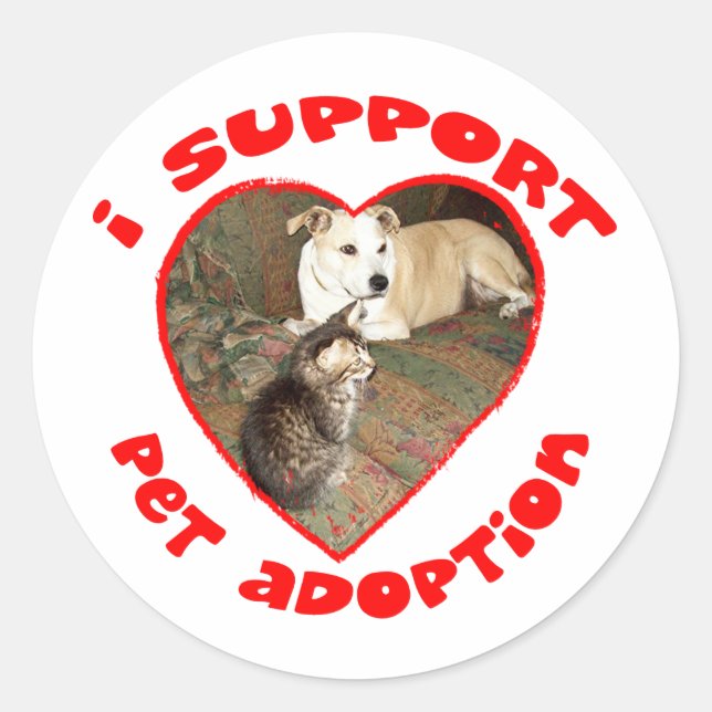 Pet Adoption Kitten With Pit bull Classic Round Sticker (Front)