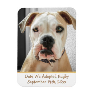 Pet Adoption Reminder Photo Magnet