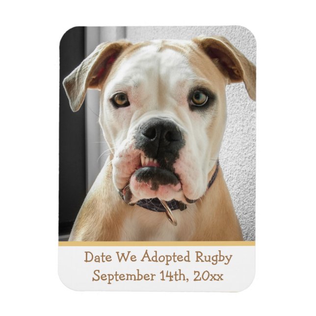 Pet Adoption Reminder Photo Magnet (Vertical)