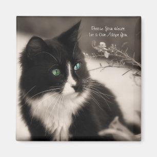 Pet Adoption Rescue Your Heart And Adopt A Cat Magnet
