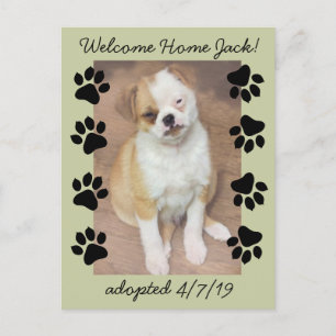Pet Adoption Save The Date Photo with Paw Prints Announcement Postcard