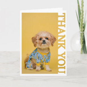pet adoption vet Photo Frame Thank You Card