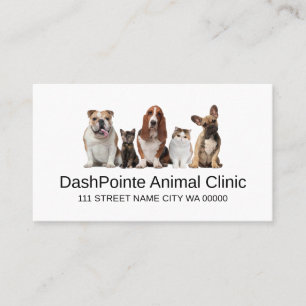 Pet Animal Clinic Shelter Veterinary Business Car Card