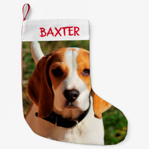 Pet Beagle Dog Photo Personalised  Small Christmas Stocking