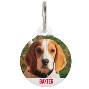 Pet Beagle Dog Photo Personalised Tag