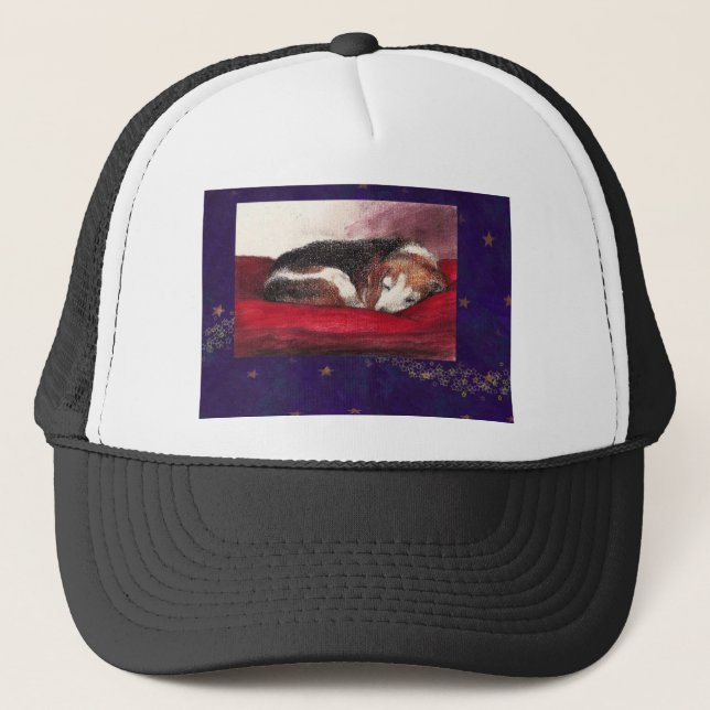 PET-BEAGLE HAT (Front)