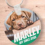 Pet BFF Best friend Photo Modern Cool Simple Key Ring<br><div class="desc">Design is simple with a simple colour background and sans serif typography for a superhero look.</div>