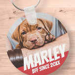 Pet BFF Best friend Photo Modern Cool Simple Key Ring<br><div class="desc">Design is simple with a simple colour background and sans serif typography for a superhero look.</div>