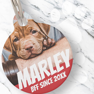 Pet BFF Best friend Photo Modern Cool Simple Tag