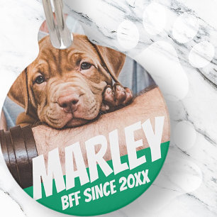 Pet BFF Best friend Photo Modern Cool Simple Tag
