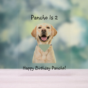 PET BIRTHDAY ACRYLIC SIGN