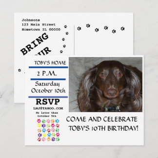 Pet Birthday Blue Line Pawprint Photo Invitation Postcard