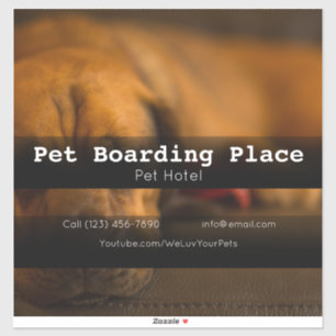 Pet Boarding company vehicle adverting business