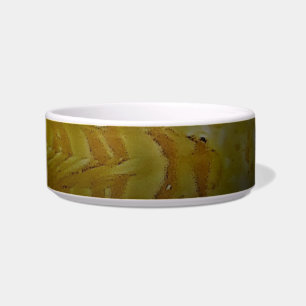 PET BOWL CERAMIC STYLE DESIGN