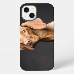Pet Brown Beagle Dog iPhone 13 Case