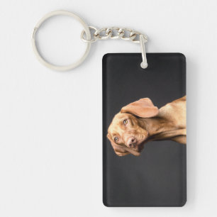 Pet Brown Beagle Dog Key Ring