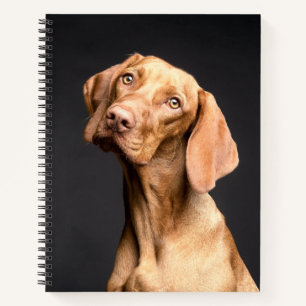 Pet Brown Beagle Dog Notebook