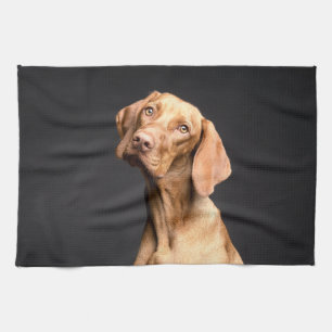 Pet Brown Beagle Dog Tea Towel